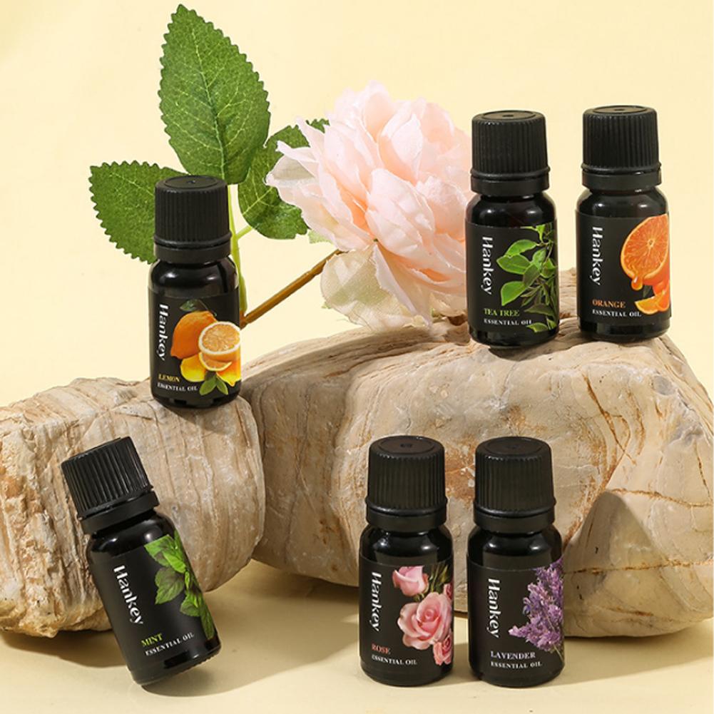 10 ミリリットル天然植物エッセンシャル オイル セット ア - Home Fragrance Aroma Set のレビューと価格