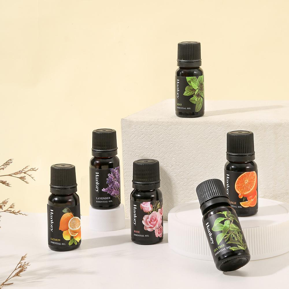 10 ミリリットル天然植物エッセンシャル オイル セット ア - Home Fragrance Aroma Set のレビューと価格